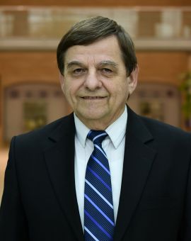 Prof. Dr. László Baranyi